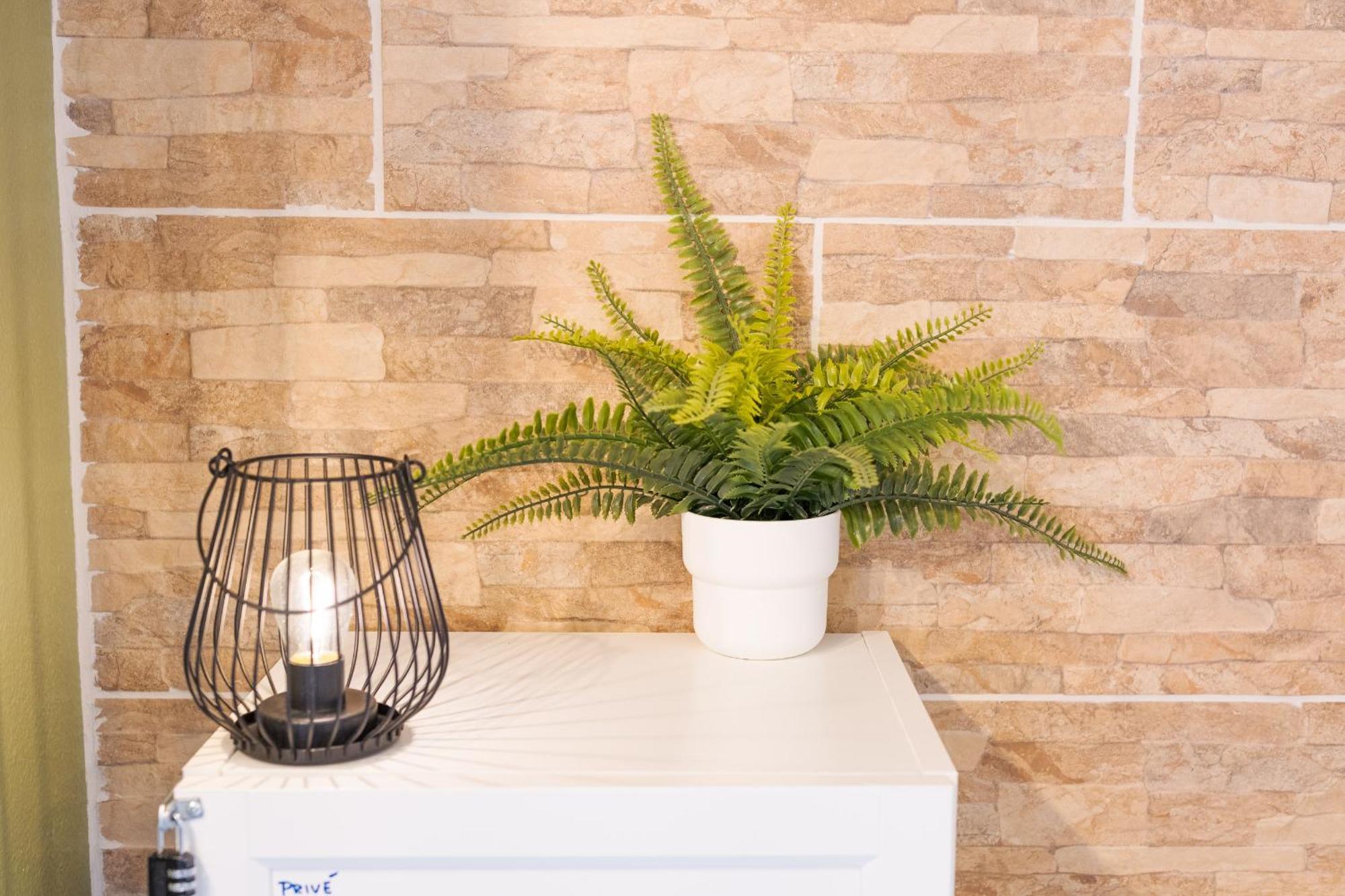 Les Elfes - Avec Entree Autonome, Clim Neuve, Jardin, Parking Prive & Gourmandises Offertes ! - Apartment Toulouse Luaran gambar