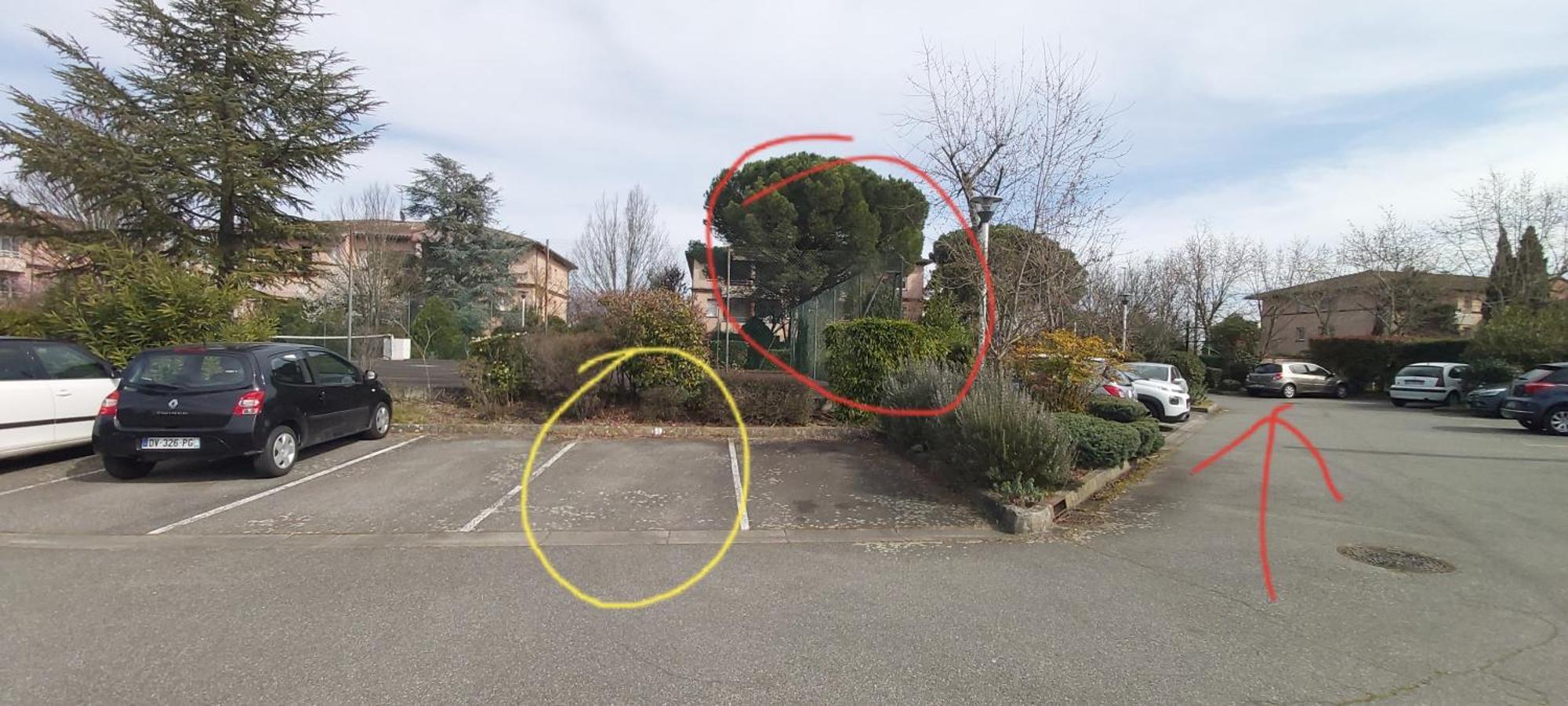 Les Elfes - Avec Entree Autonome, Clim Neuve, Jardin, Parking Prive & Gourmandises Offertes ! - Apartment Toulouse Luaran gambar